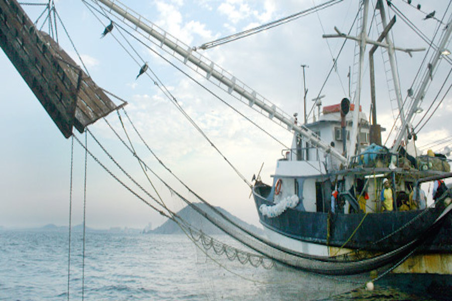 El sector  pesquero no sufrió afectaciones mayores  al paso del huracán Patricia: CONAPESCA