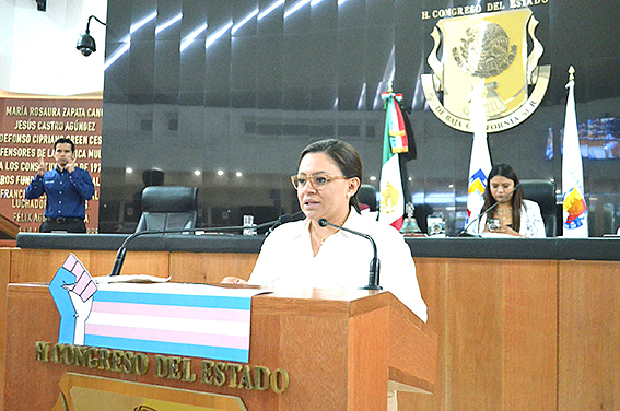 Propone diputada Paz Ochoa imposibilitar a diputados de comisiones de cuenta para presidir la JUGOCOPO